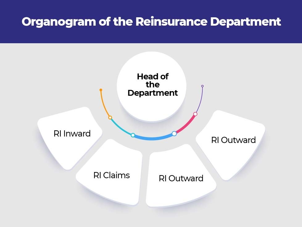 Organogram of the Reinsurance Department
