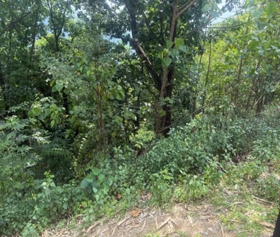 Land Plot C - Image 2