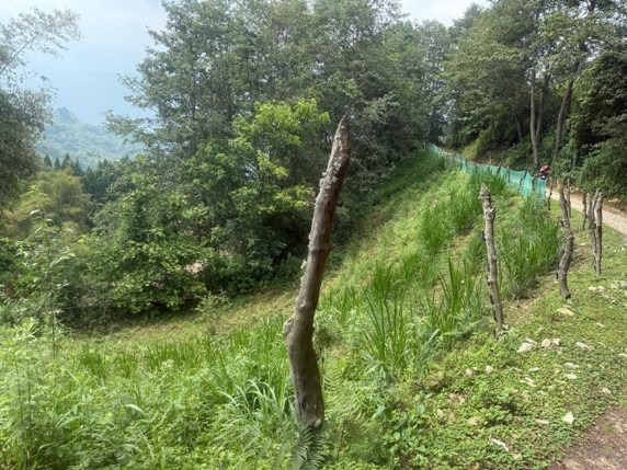 Land Plot C - Image 2