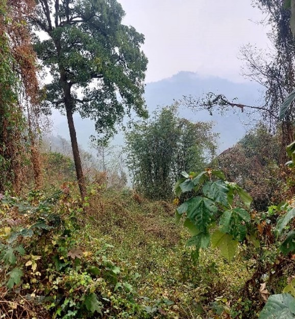 Land Plot C - Image 2