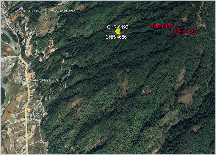 Plot Image