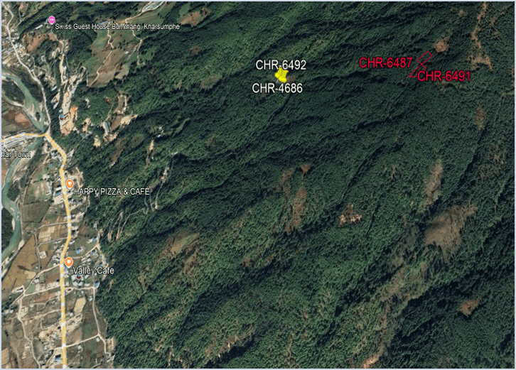 Plot Image