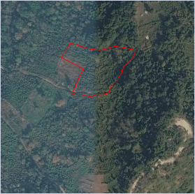 Plot Ngatshang (Plot No. unlisted) Image 2