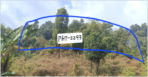 Plot PHT-2293 Image 3