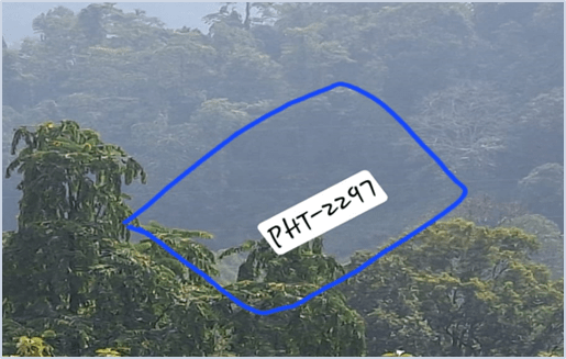 Plot PHT-2297 Image 3
